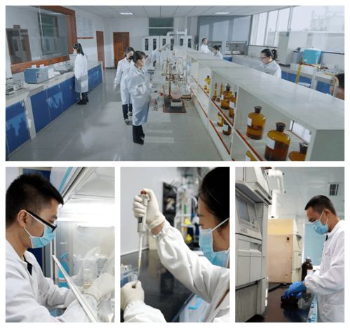 特驅酵享悅生物發酵替抗產品成功上市 開啟綠色養殖新篇章