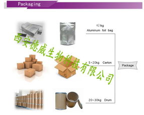 技術賦能下的產品報價策略與市場推廣