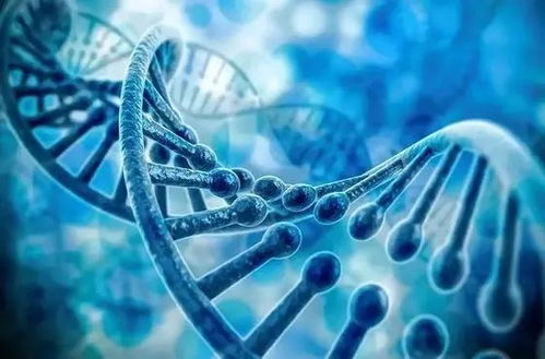 恒潤(rùn)達(dá)生CAR-T細(xì)胞產(chǎn)品IND申請(qǐng)完成技術(shù)評(píng)審，中國(guó)生物技術(shù)研發(fā)再添里程碑